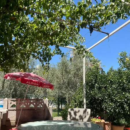Apartment Sumer Apart